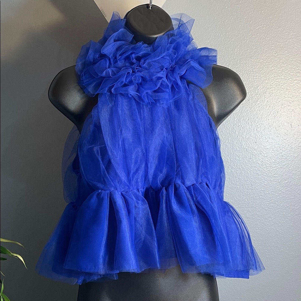 Zara Royal Blue Ruffled Crop Top